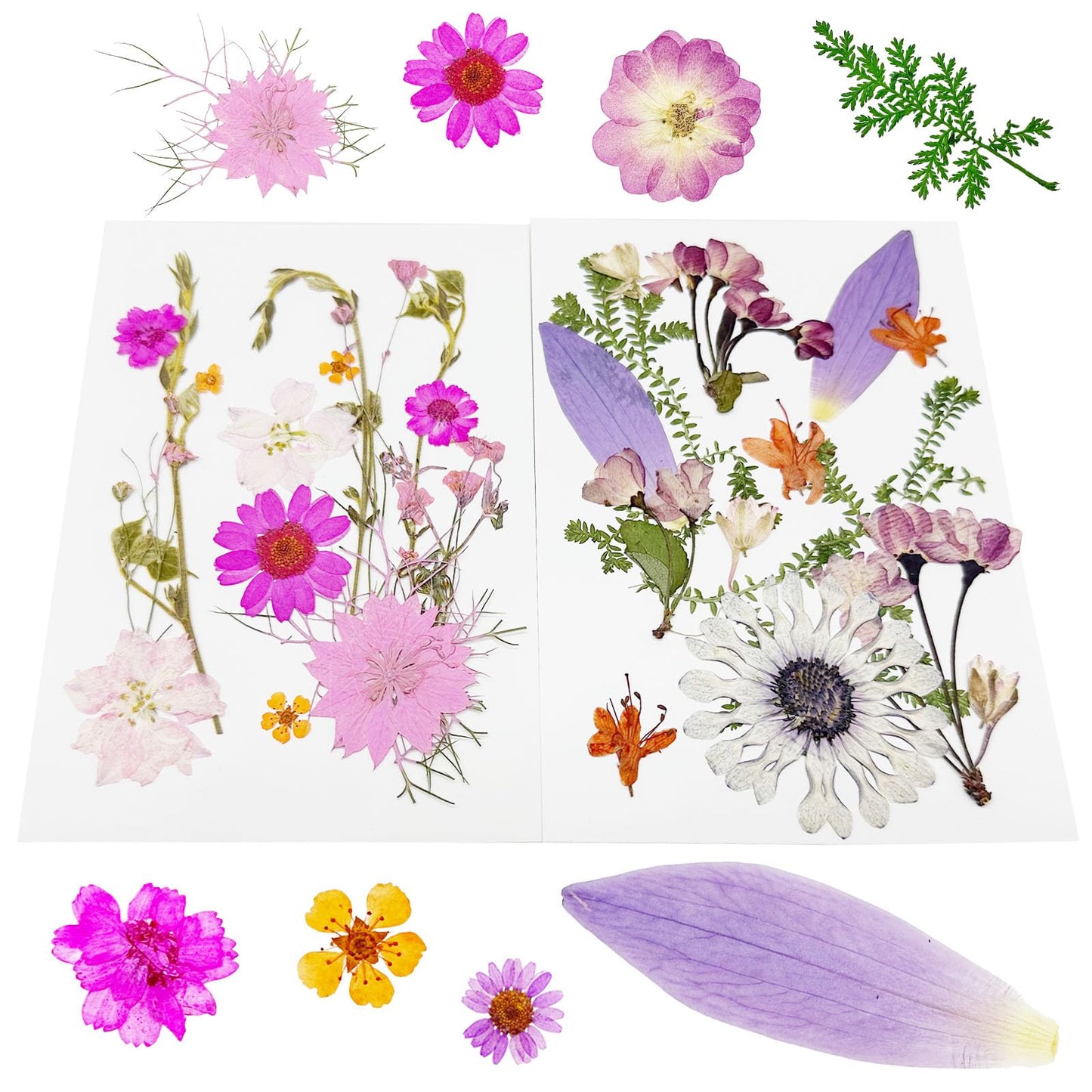 Cayway 4 Pack Pressed Flowers Natural Dried Flowers Colorful Resin Flowers Real Pressed Flowers for Resin Scrapbook DIY Art Crafts, Epoxy Resin Jewelry, Card Making Supplies, Style G