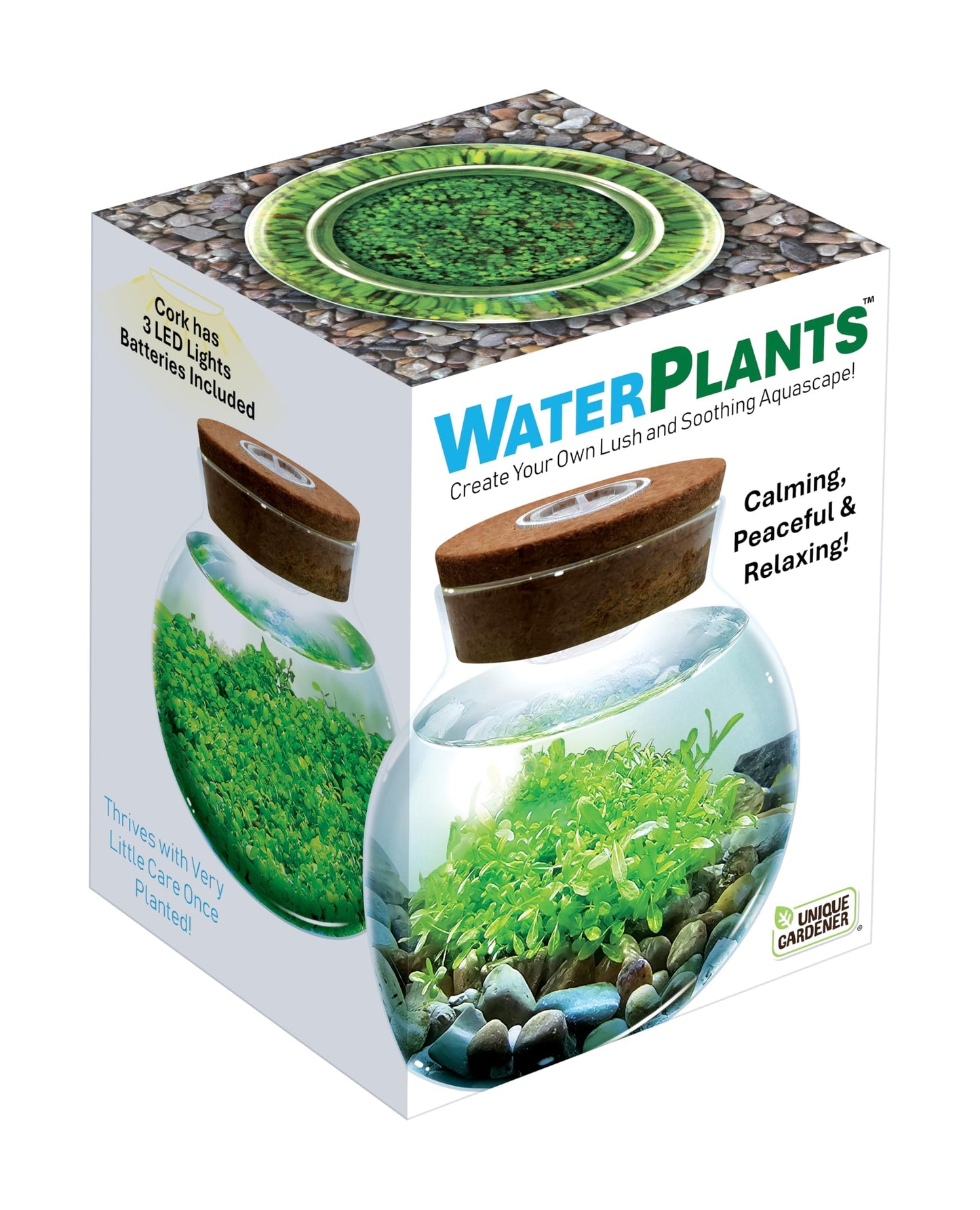 WaterPlants- Create Your Own Lush and Soothing Aquascape Terrarium Starter Kit, Indoor Plant Glass Globe Terrariums with Powerful 3 LED Light and Complete Supplies, Just Add Water!