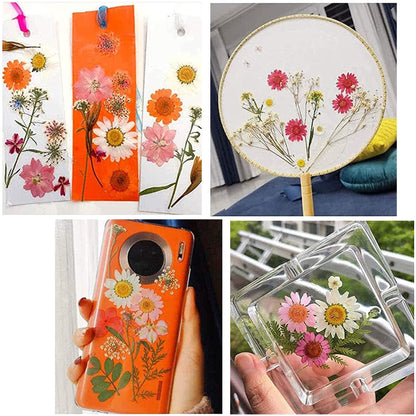 Cayway 4 Pack Pressed Flowers Natural Dried Flowers Colorful Resin Flowers Real Pressed Flowers for Resin Scrapbook DIY Art Crafts, Epoxy Resin Jewelry, Card Making Supplies, Style G