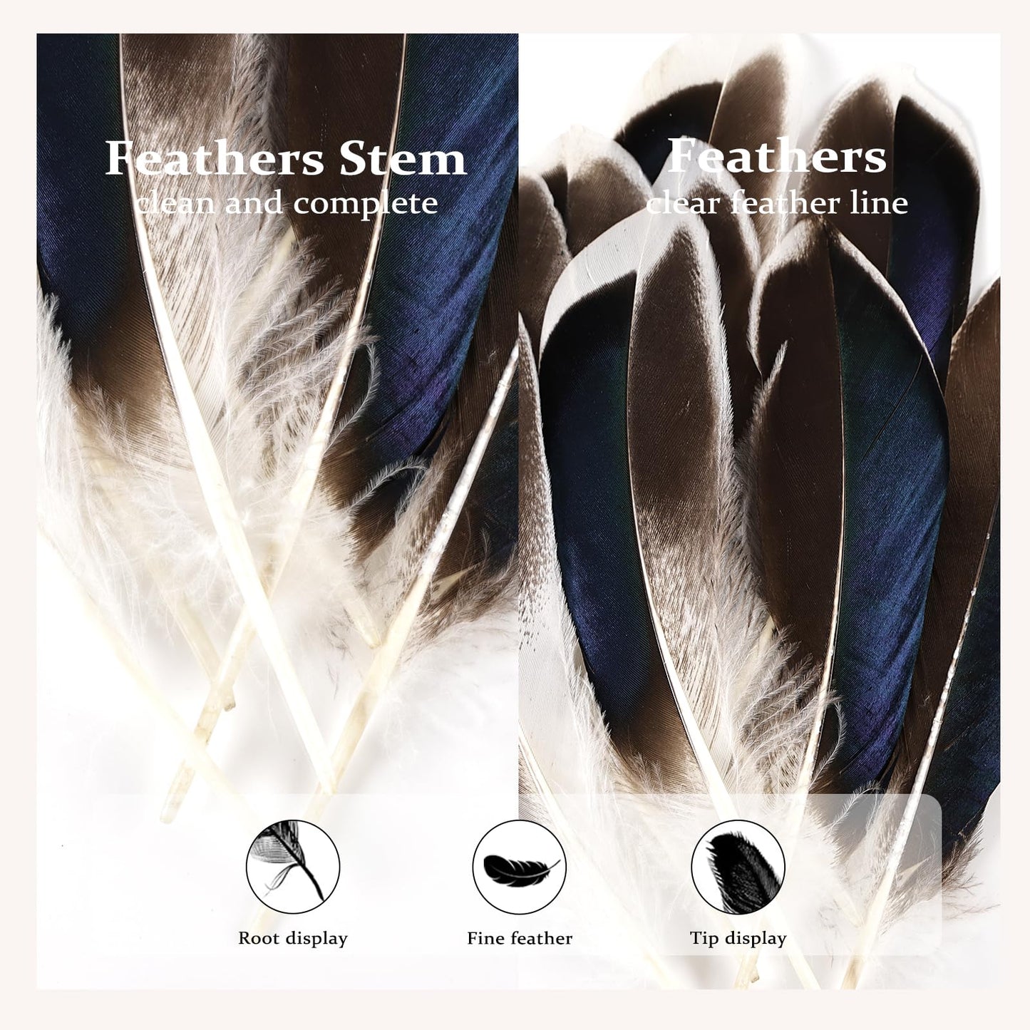 FeelfunFeather 240pcs Duck Feathers 4-6 inch Natural Feather Bulk for Craft Wedding Home Party Costumes Decoration