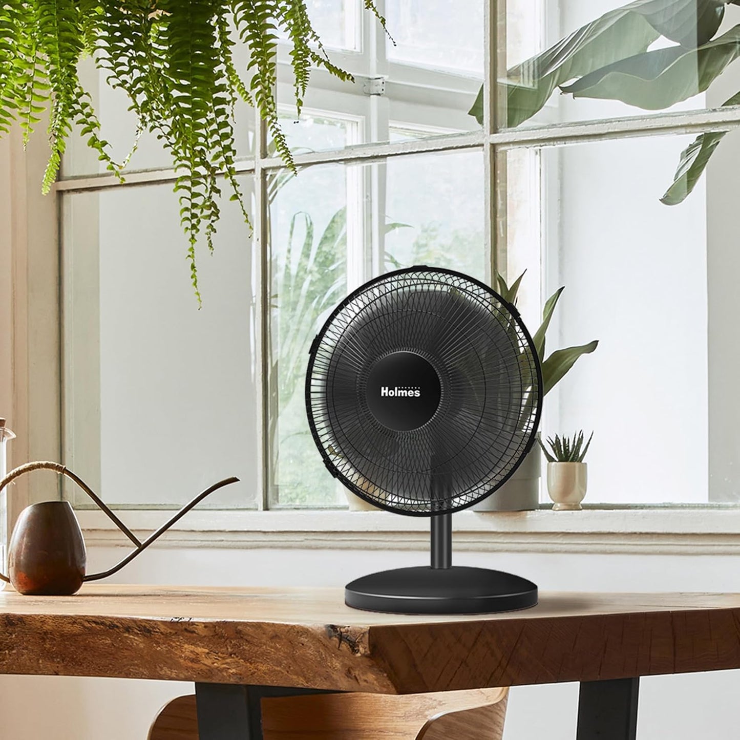 HOLMES 12" Table Fan with 75° Oscillation, 3 Speeds, 15° Adjustable Head Tilt, Ideal for Home, Bedroom, Office, Black