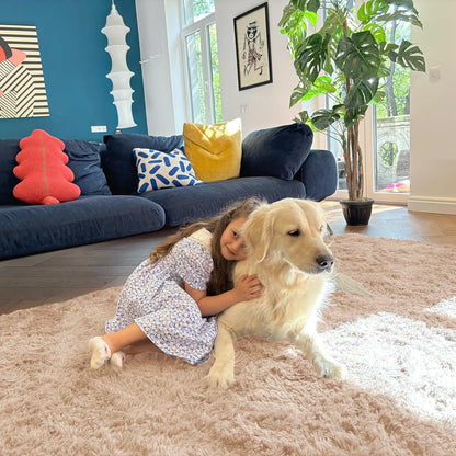 OLANLY Accent Rug - Soft Fluffy Shaggy Area Rug for Bedroom & Living Room | Machine Washable, Beige