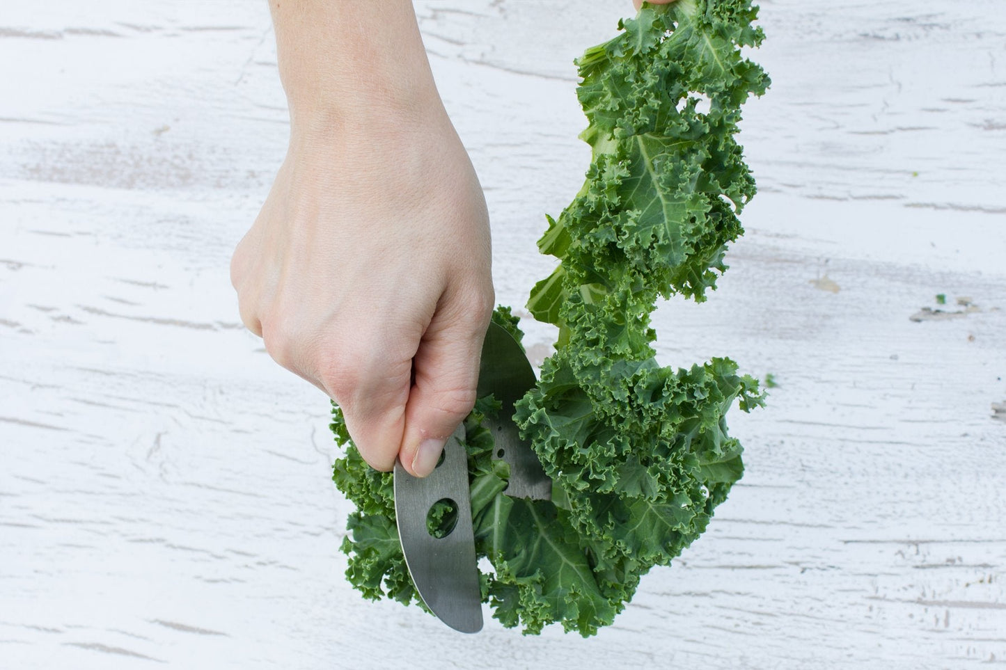 Raw Rutes Kale Razor - Kale and Herb Stripping Tool - Made in the USA from Stainless Steel - Perfect for removing stems from Herbs & Kale