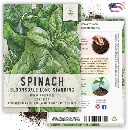 250 (1 Pack) Seed Needs, Bloomsdale Long Standing Spinach Seeds - Heirloom Seeds for Planting Spinacia oleracea