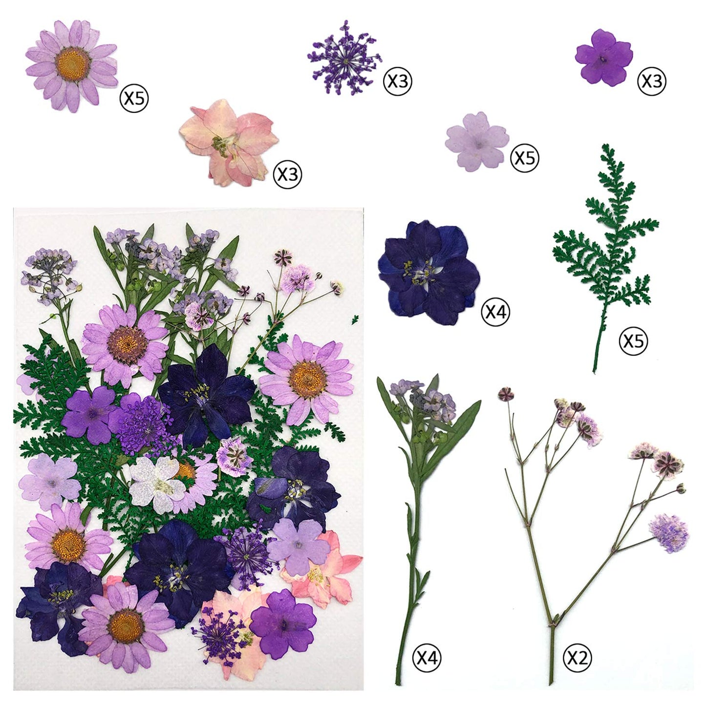 Cinvo 90 Pcs Real Dried Pressed Flowers and Leaves Natural Dried Petals for Candle Resin Jewelry Soap Nail Pendant Phone Case Crafts Making Floral Decors Scrapbooking DIY(Blue, Purple, Pink, Green)