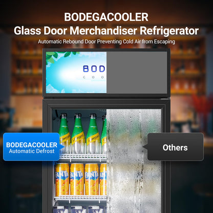 BODEGA BODEGACOOLER 15.5 Cu. Ft Commercial Beverage Refrigerator, Glass Door Upright Display Cooler, 420 Cans Drink Fridge with LED Light, 5 Adjustable Shelves, Lock, Black