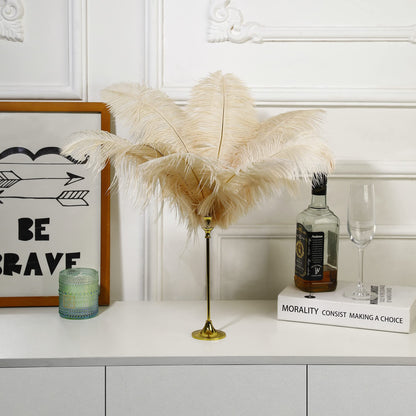 Ballinger Champagne Ostrich Feathers Bulk - 12Pcs 12-14inch Large Boho Feathers for Vase，Wedding Party Centerpieces Home and Pampas Grass Decor