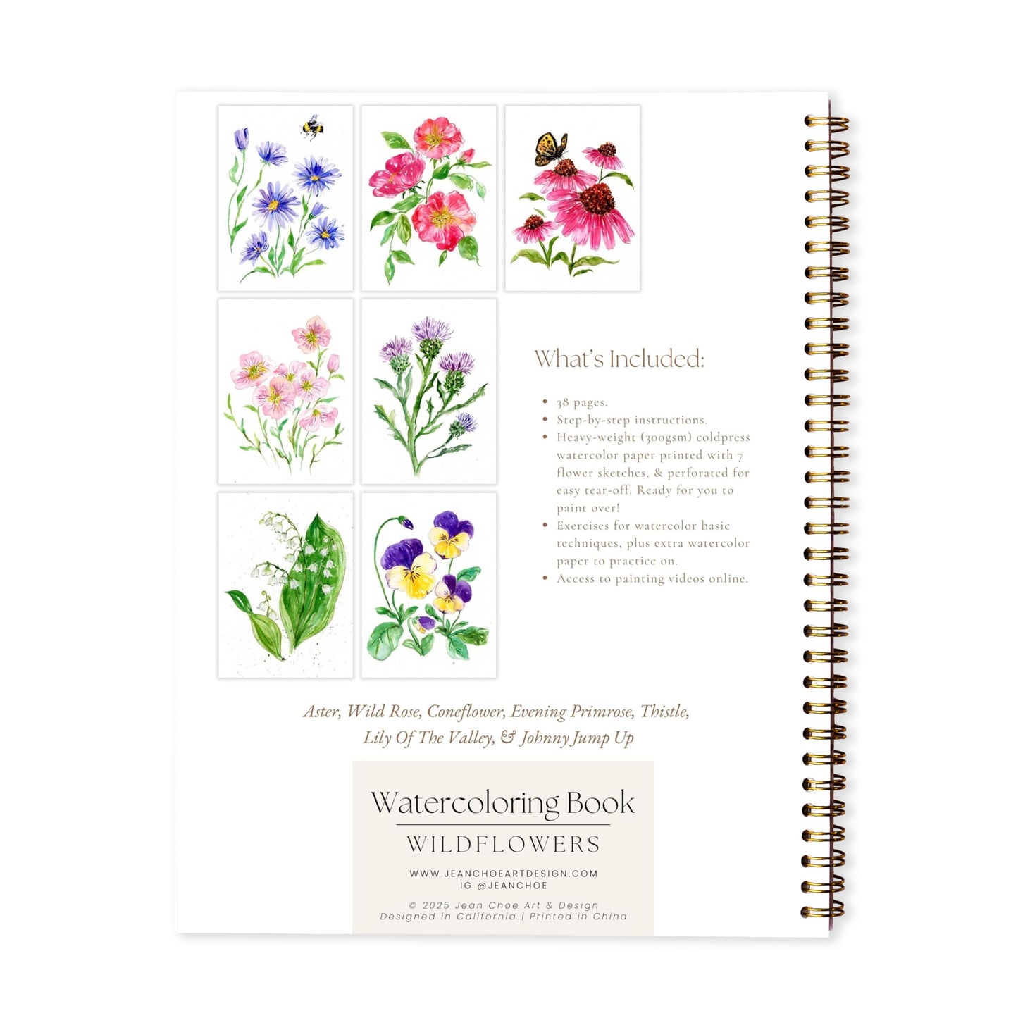Wildflower Watercolor Workbook with Real Cold Press Cotton Watercolor Paper, Pre-Outlined Designs, Step-by-Step Instructions & Online Videos – Premium Botanical Art Book for Adults & Beginners