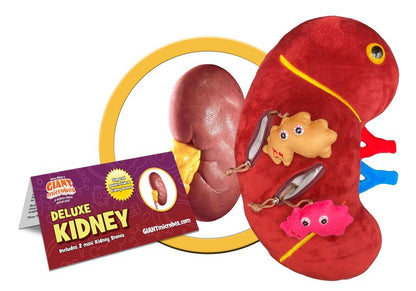 GIANTmicrobes Deluxe 12" Kidney Plush with Kidney Stones, Kidney Stuffed Animal, Kidney Transplant Gifts, Kidney Donor Gifts, Kidney Pillow, Urology Gifts, Nephrology Gifts, Dialysis Nurse Gifts