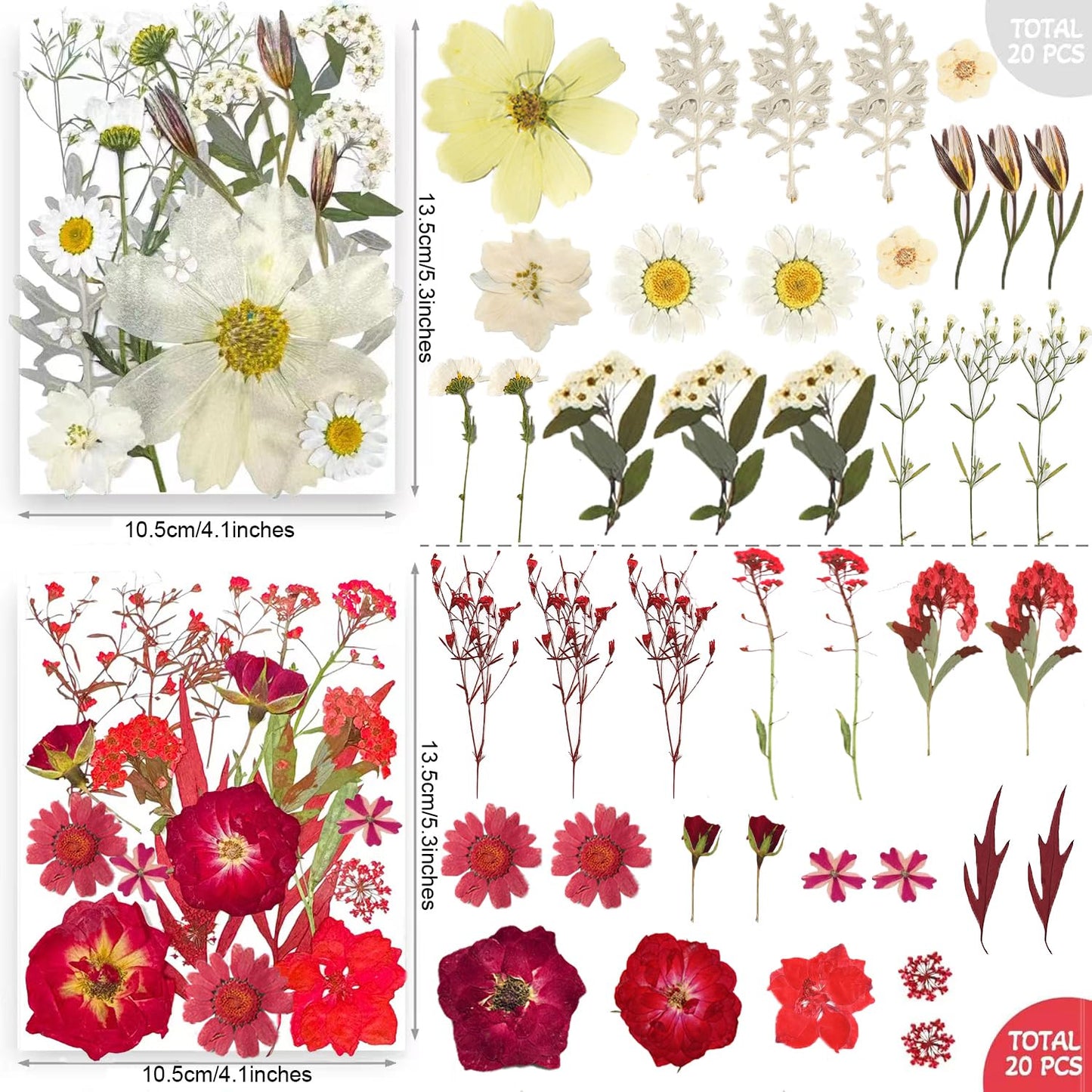 TrendCart 301Pcs Multi-Style Dried Pressed Flowers & Leaves (10 Packs) - Pressed Flower for Crafts, Resin, Nail Art, Candle, Soap, Scrapbooking & Frame Decor