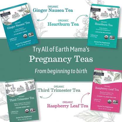 Earth Mama Organic Red Raspberry Leaf Tea | Labor Prep & Menstrual Support Herbal Tea, Pregnancy & Postpartum Care Recovery | 32 Teabags | Caffeine Free & Non-GMO