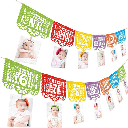 Kitticcino 1st Birthday Photo Banner, Papel Picado Mexican Fiesta Monthly Garland, Baby Newborn to 12 Months, Cino de