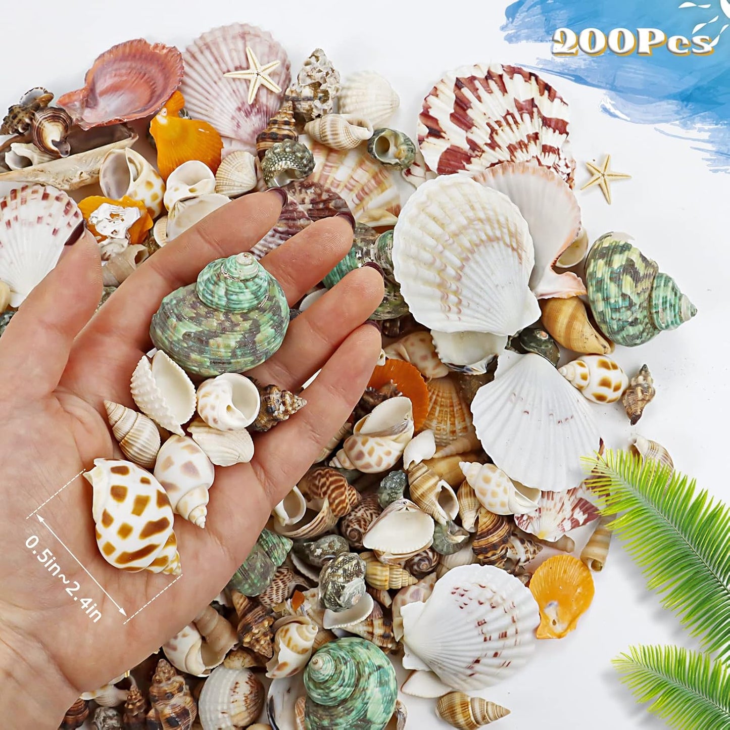 WFPLUS 200+pcs Mixed Sea Shells, Natural Seashells and Starfish for Fish Tank, Home Decorations, DIY Crafts