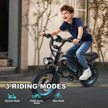 AVDLBIKE Electric Bike, 16'' Fat Tire eBike for Teens/Adults, 500W E-Bike with 36V/12.8Ah Removable Battery, 20 MPH 45 Mile Range Commuting Electric Mountain Bike with Dual Dual Brakes-Blue A13