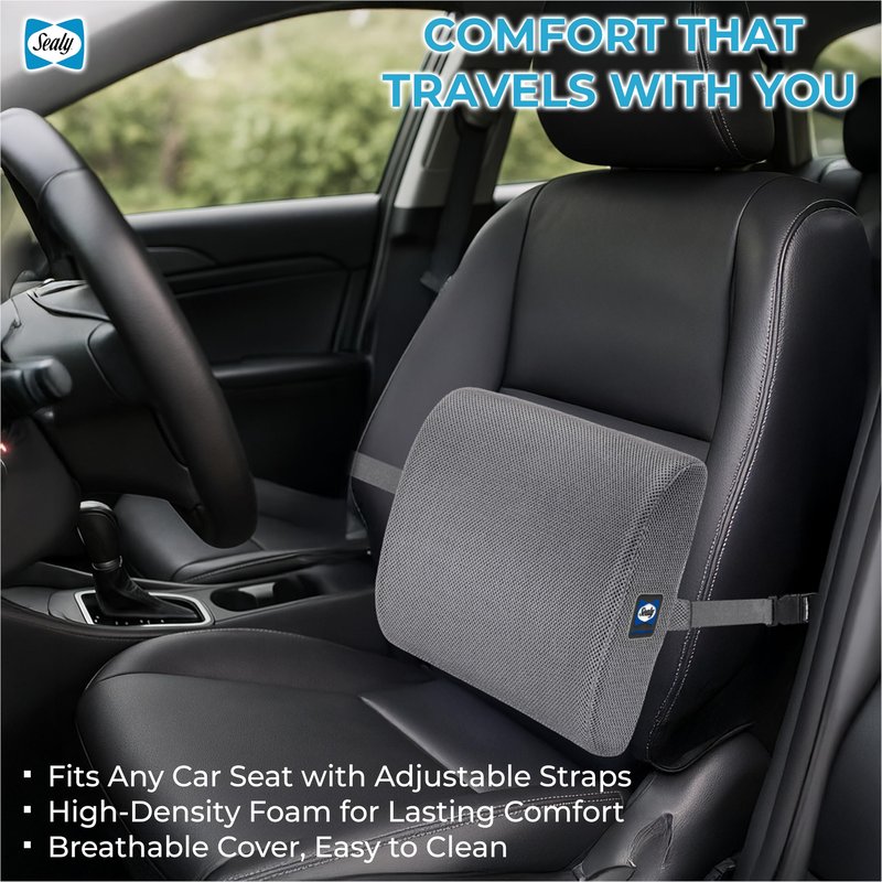 Sealy Ergonomic Lumbar Support Pillow for Office Chair and Car Seat - Memory Foam Back Support Lumbar Pillow, Premium Cushion Chair Support for Lower Back Pain Relief and Versatile Use (Gray)