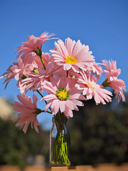 Pink Daisy for Home Decor Events DIY Crepe Paper Flower Bouquet Making Kit Complete Craft Materials for Floral Art 12 Qty