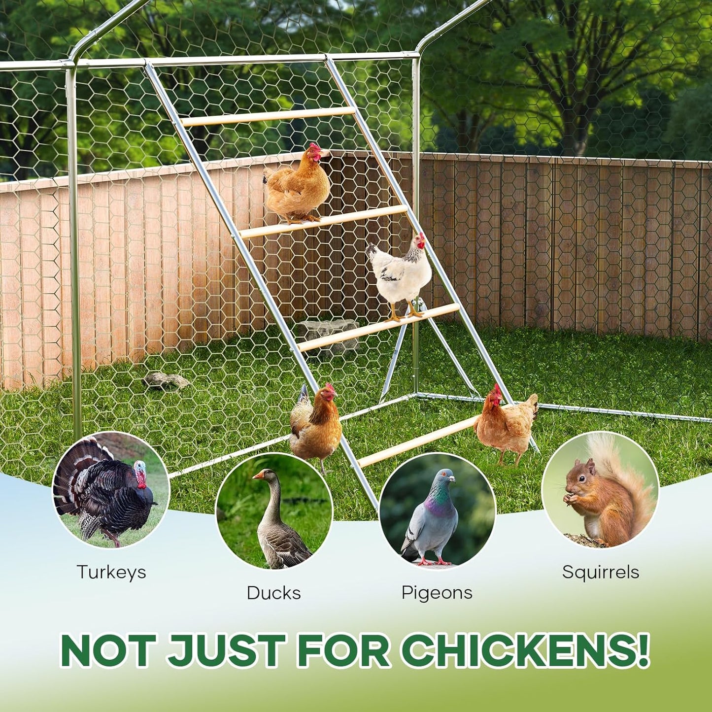 56" 40" Chicken Perch Roosting Bars for Chickens in Coop Chicken Toys for Coop Accessories Chicken Roosting Ladder Bird