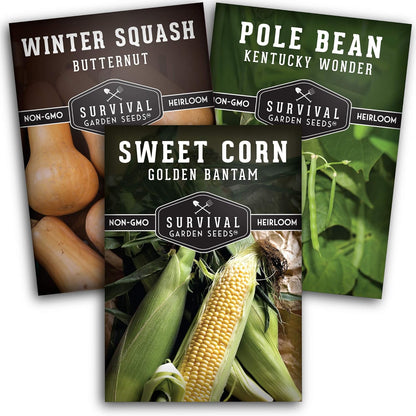 Three Sisters Collection Seed Vault - Non-GMO Heirloom Seeds for Planting Vegetables - Sweetcorn, Butternut Winter