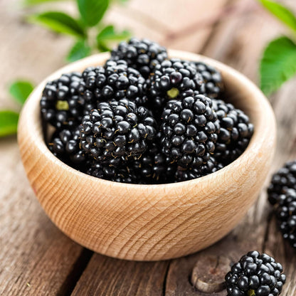 50 KVITER Black Raspberry Seeds (Rubus Occidentalis) Organic Raspberries Heirloom Seeds, Non GMO Blackcap Berries