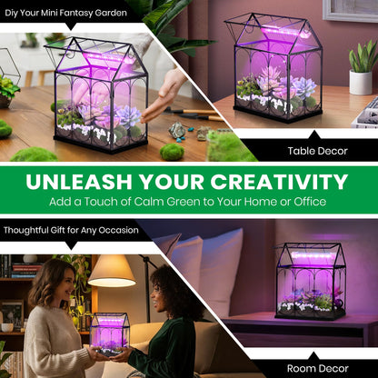 Meonum Tiny Glass Terrarium Kit with Grow Light, Venus Fly Trap Terrarium with Absorbent Mat, Timer&3 Light Modes for Succulent Live Air Plants Indoor Home Office Decor (7.1"x 4.7"x 8.7",USB Powered)