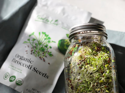 2 Food to Live Organic Broccoli Seeds for Sprouting, Ounces Non-GMO, Vegan, Kosher, Sirtfood, Bulk. Rich