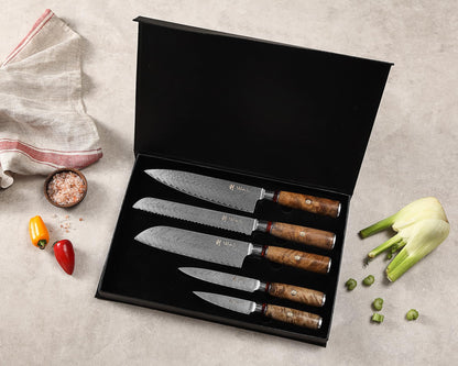 Wakoli Damascus Chef Knife Set with Magnetic Block – 5-Piece Professional Kitchen Knife Block Set, Genuine 67-Layer Damascus Steel Blades with VG10 Core & Ergonomic Sycamore Wood Handles