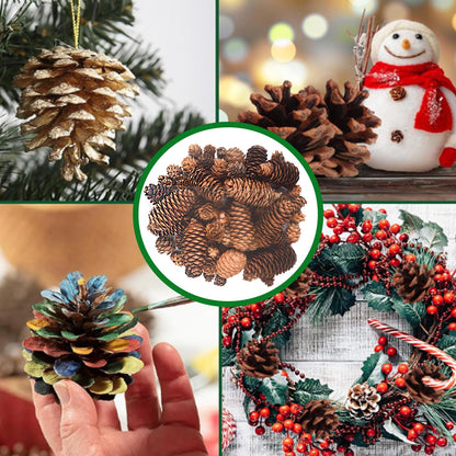 120PCS Natural Pine Cones for Decorating, 1" ~ 3.15" Inch Tall Mini Pinecones for Crafts, Tree Ornaments, Wreath, Wedding, Vase Fillers, Garland & Holiday Centerpieces (Fall/Winter/Xmas) Decor