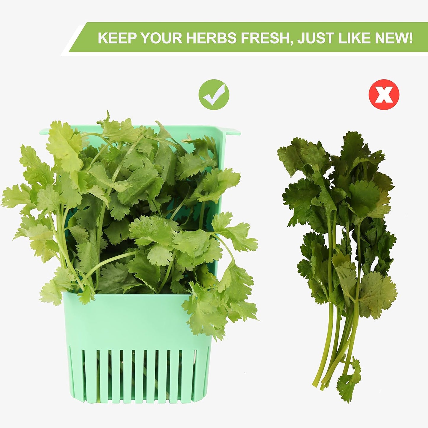 2 Pack 3 LUVCOSY Herb Keeper, BPA-Free Plastic Herb Saver with an Inner Basket for Cilantro, Mint, Parsley