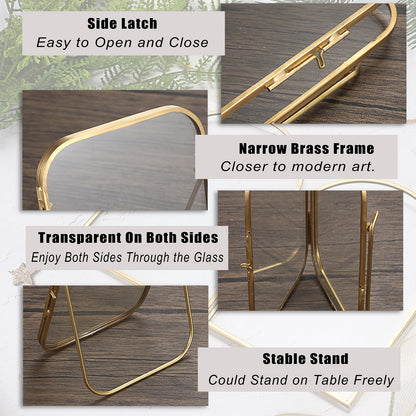 JUXYES Tabletop Double Glass Brass Frames for Pressed Flowers, Double Sided Glass Frame Gold Floating Artwork Display Frames for Photo, Picture, Dried Pressed Flower, etc, 4x6 Inches