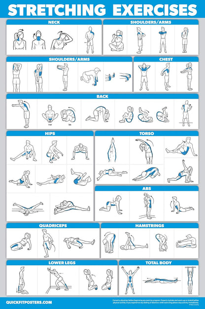 Palace Learning QUICKFIT Stretching Workout Poster - Laminated Stretch Routine (18" x 24")