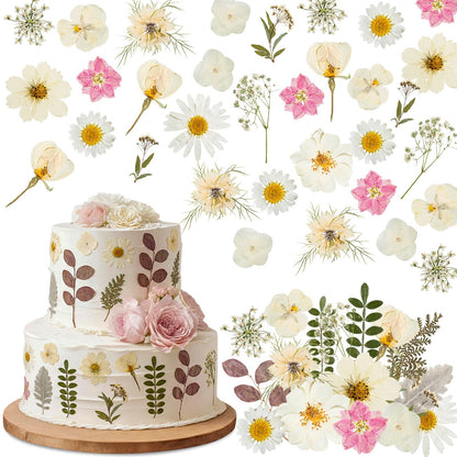 Maasechs 96 Pcs Natural Dried Pressed Flowers for Cake Topper Decorating Cupcake Toppers Cocktails Resin Jewelry Making DIY Art Crafts