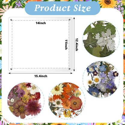 Lineshading Pressed Flower Diploma Frame Floating Clear Acrylic Degree Frame Wall Mount Picture Frames with Dried Pressed Flowers for Certificate Degree Painting Artworks DIY Craft, 15.4 x 12.4 Inch
