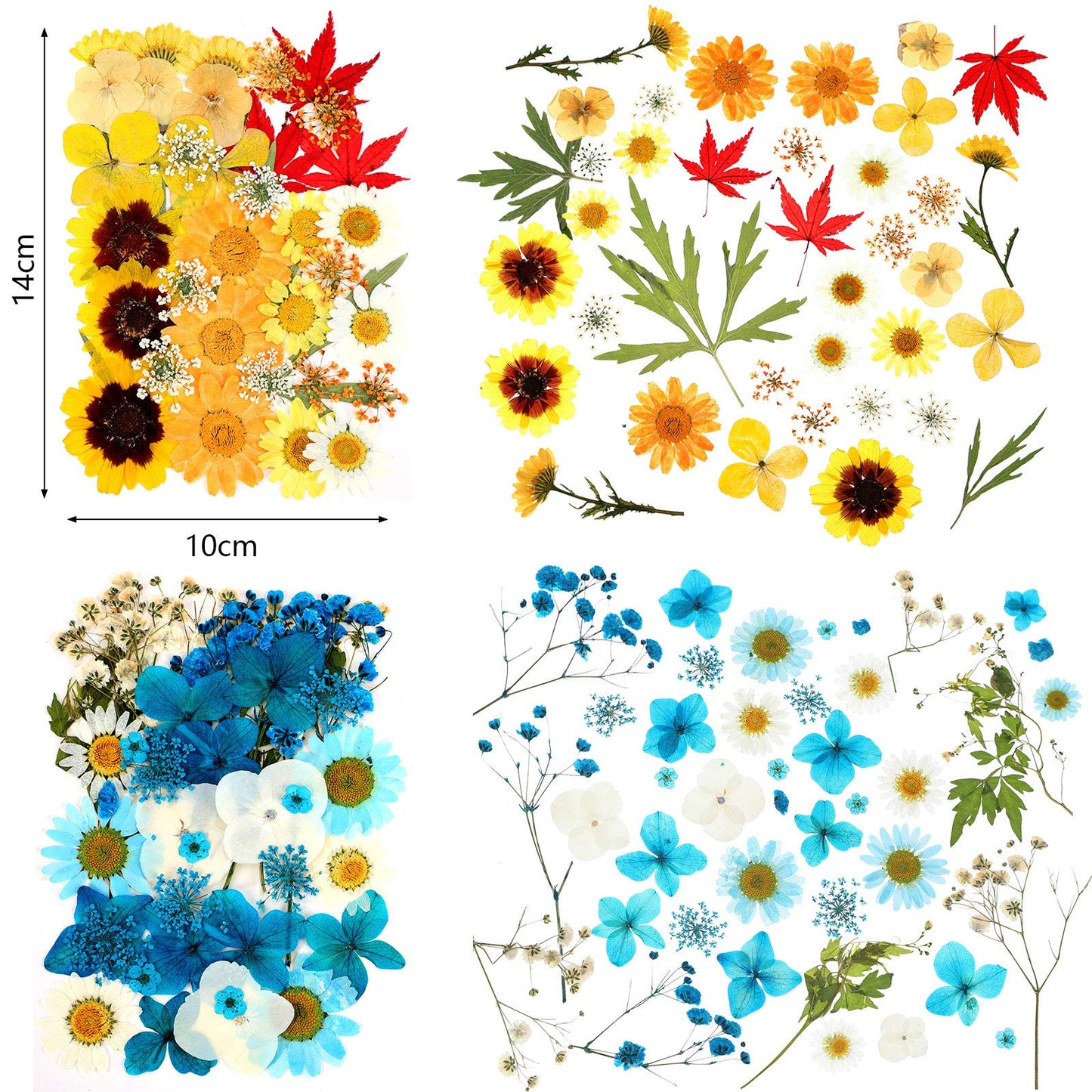 110 Pcs Dried Pressed Flowers for Resin, Real Dry Daisy Flowers and Leaves Bulk with Tweezers and Box Set, Art Crafts Resin Jewelry Making Scrapbook DIY Supplies Card, Soap, Candle Making, Nail Decor