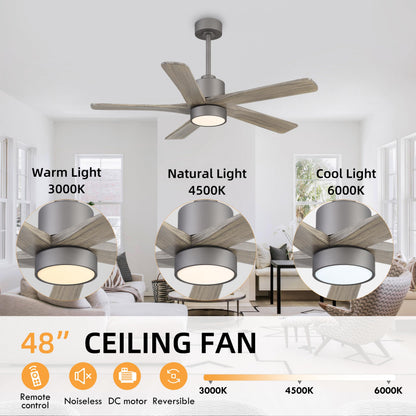 WINGBO 48 Inch DC Ceiling Fan with Lights and Remote Control, 5 Carved Solid Wood Blades, 6-Speed Noiseless Reversible DC Motor, Indoor Ceiling Fan in Graphite Finish with Gray Blades
