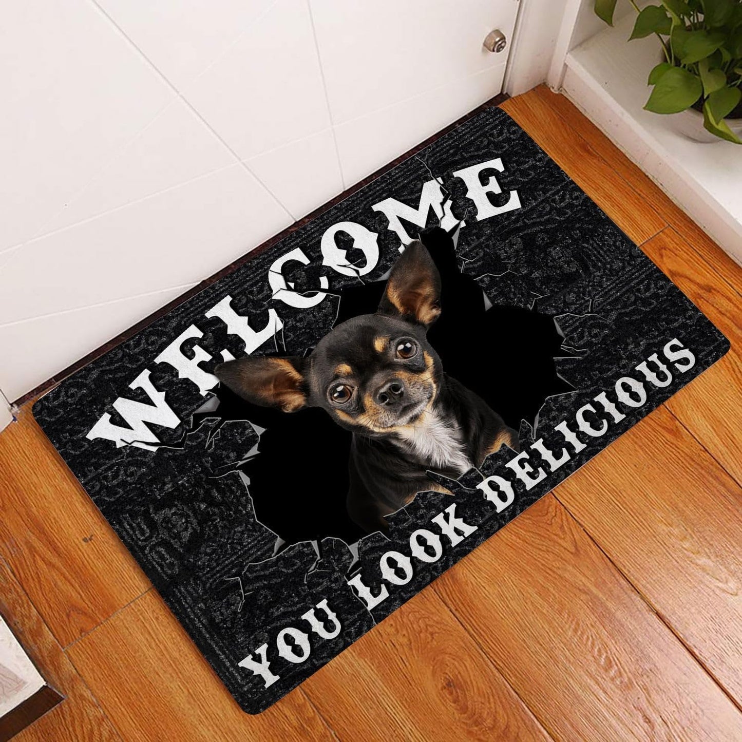 You Look Delicious Door Mat, 16x24 Inch, Non-Slip Rubber Welcome Doormat for Indoor Outdoor Entrance Floor