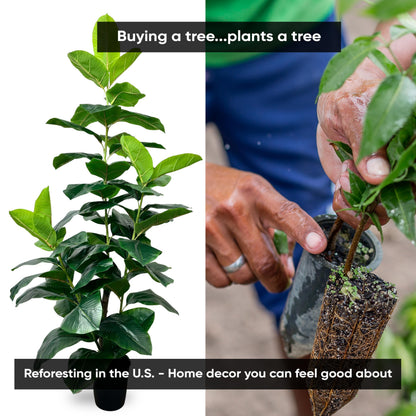 Cypress & Alabaster Handmade 6.5ft Outdoor Safe UV Resistant Artificial Rubber Fig Plant | Ficus Tree with Real Wood Trunks, Hypoallergenic, 6.5 Foot, Green