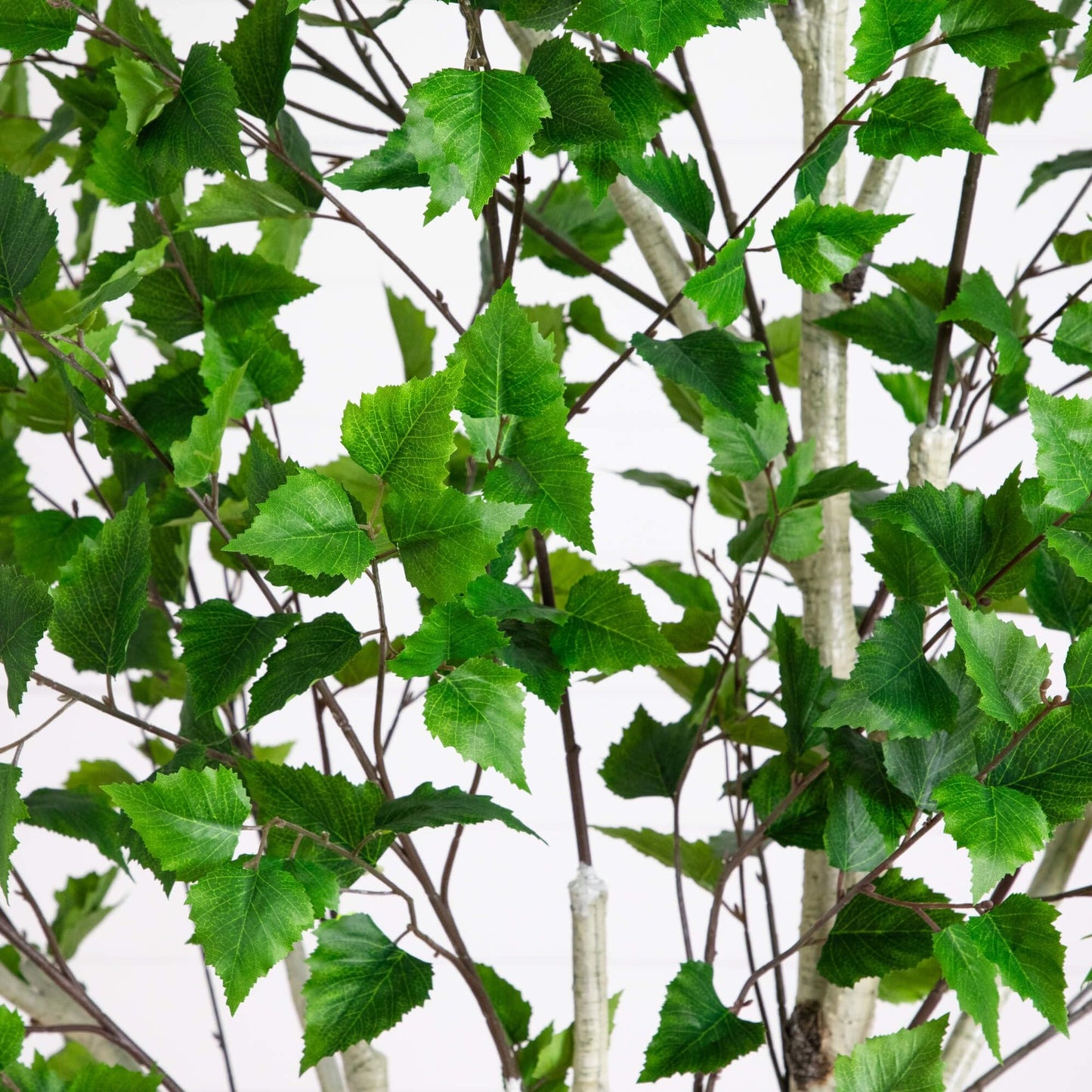 Nearly Natural 8ft Artificial Birch Tree with Real Touch Leaves - Indoor Fake Tree for Home Decor - Flexible Branches for Custom Look