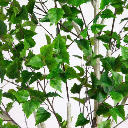 Nearly Natural 8ft Artificial Birch Tree with Real Touch Leaves - Indoor Fake Tree for Home Decor - Flexible Branches for Custom Look