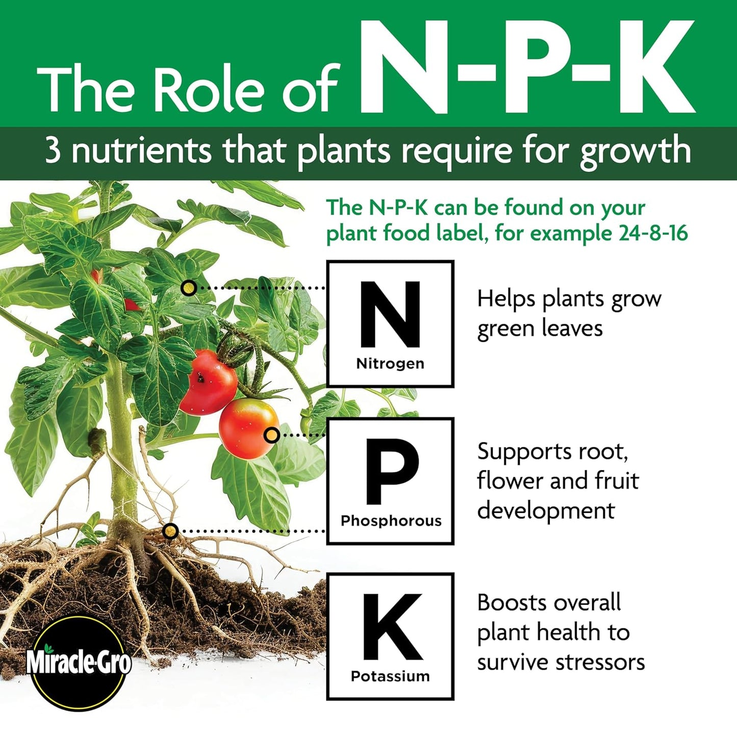 Miracle-Gro Shake 'N Feed All Purpose Plant Food - Nourishes Indoor & Outdoor Plants, 4.5 lbs.