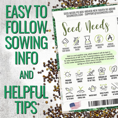 (5 Packs) Seed Needs Kale Seeds for Planting Vates Blue Scotch Curled Kale Vegetables - Non-GMO Heirloom & Untreated