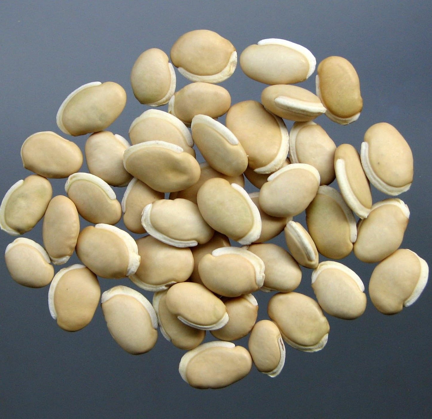 home on earth 100 Green Leaf Hyacinth Bean - Seeds