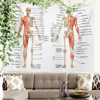 Batmerry Skeleton Tapestry, Body Human Skeleton Anatomy Backbone Biology Board Bone Picnic Mat Hippie Trippy Tapestry Wall Art Decor for Bedroom Living Room, 51.2 x 59.1 Inches, Human Anatomy