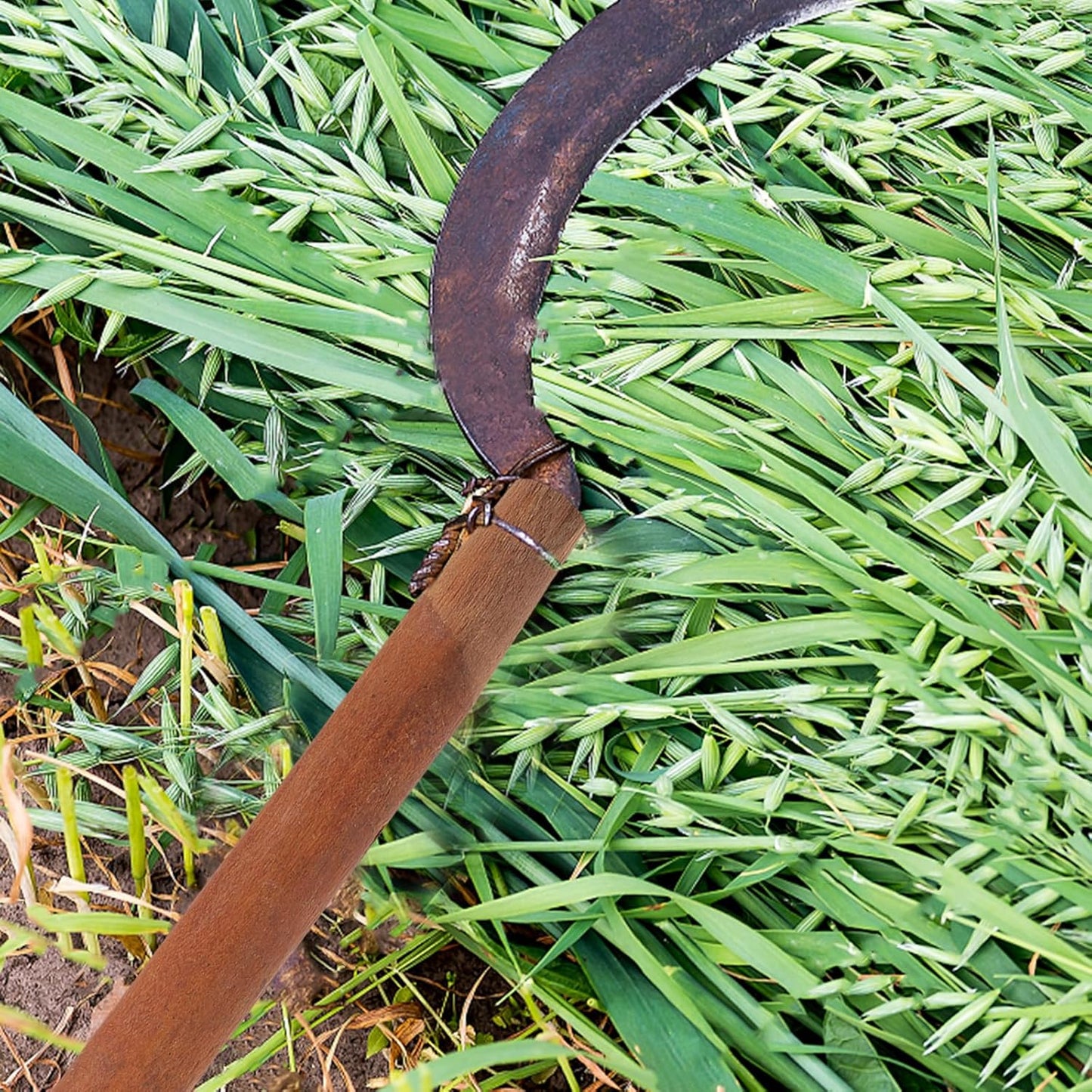 Wooden Shovel Handle Replacement, Agricultural Ladle Handle for Gardening Shovel, 11.8 inch Hatchet Grip