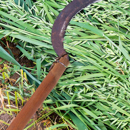 Wooden Shovel Handle Replacement, Agricultural Ladle Handle for Gardening Shovel, 11.8 inch Hatchet Grip