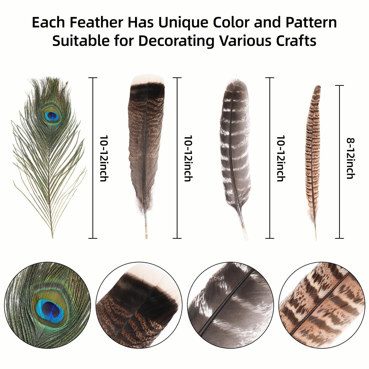 Ballinger 8-12inch 4 Styles 24Pcs Assorted Pheasant Feathers and 12Pcs 24-26inch Black Ostrich Feaathers for Crafting Vase Hat Wedding Autumn Party Decor