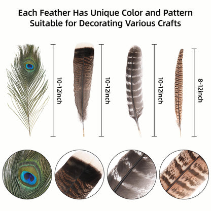 Ballinger 8-12inch 4 Styles 24Pcs Assorted Pheasant Feathers and 24 Pcs 10-12inch Black Ostrich Feaathers for Crafting Vase Hat Wedding Autumn Party Decor