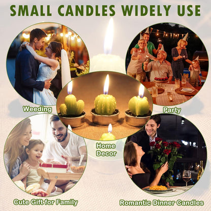 Outee 12 Pcs Handmade Cactus Tealight Candles - Delicate Succulent Candle Mini Tea Lights for Home Décor