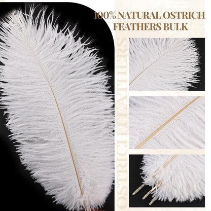 Natural White Ostrich Feathers Bulk 40 Pack, 10-12 in, 8-10 in (20 Pcs Each), for DIY Vase Craft Wedding Party Centerpieces Christmas Decoration