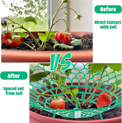 Fairooth 6 Pack 3 Strawberry Supports Strawberry Plant Support Stand Strawberry Growing Racks Protector Strawberry