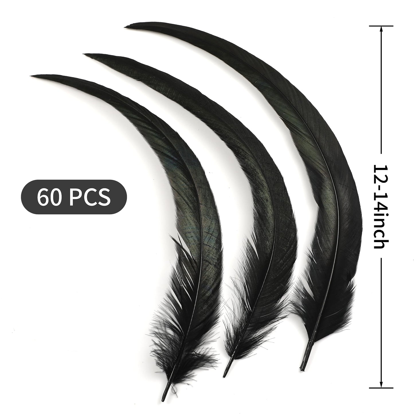 Holmgren 180pcs 12-14inch Rooster Tail Feathers - Natural Long Rooster Tail Feathers Bulk for DIY Crafts Hats Costume, Holiday Themed Party Decoration